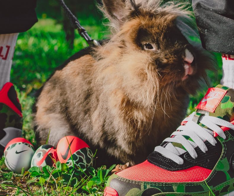 A Duck Camo Easter: sneakerhead Easter eggs